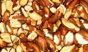 220px-brazil_nuts_Detailfoto