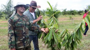 WITTE-CHOCOLADE-670x374